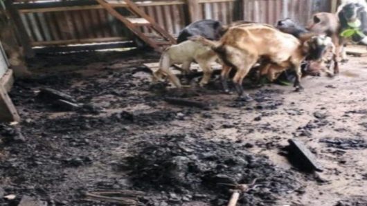 উজিরপুরে খ্রি*ষ্টা*ন প*ল্লি*তে গভীর রাতে হা*মলা, ভা*ঙ*চুর ও অ*গ্নি সংযো*গসহ ছাগল লু*টের অভি*যোগ