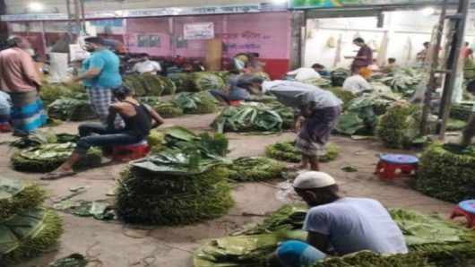 সন্ধ্যা হলেই জমে ওঠে কোটি টাকার পানের হাট