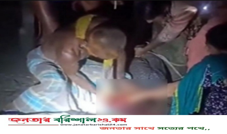 বরিশালে বাবার কথায় ভাইয়ের চোখ তুলে নিলেন অন্য দুই ভাই