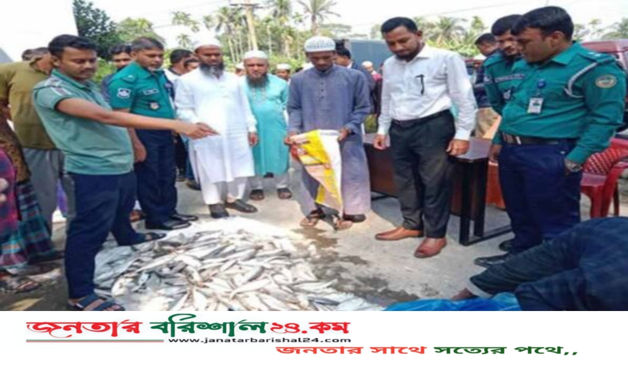 বরিশালে অবৈধ জাটকা ইলিশ জব্দ