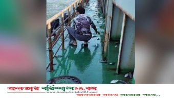 পায়রা উপকূলে লাইটার জাহাজের ডেকে লাফিয়ে উঠল তিন মণ ইলিশ