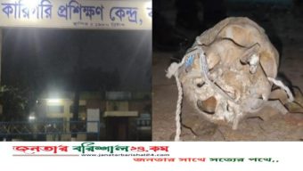 বরিশালে মাটি খুঁড়তেই বেরিয়ে এলো মানুষের মাথার খুলি
