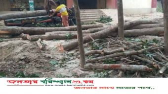 ফরিদপুরে স্কুলের গাছ কাটা নিয়ে দুই পক্ষের সংঘর্ষে আহত ২০