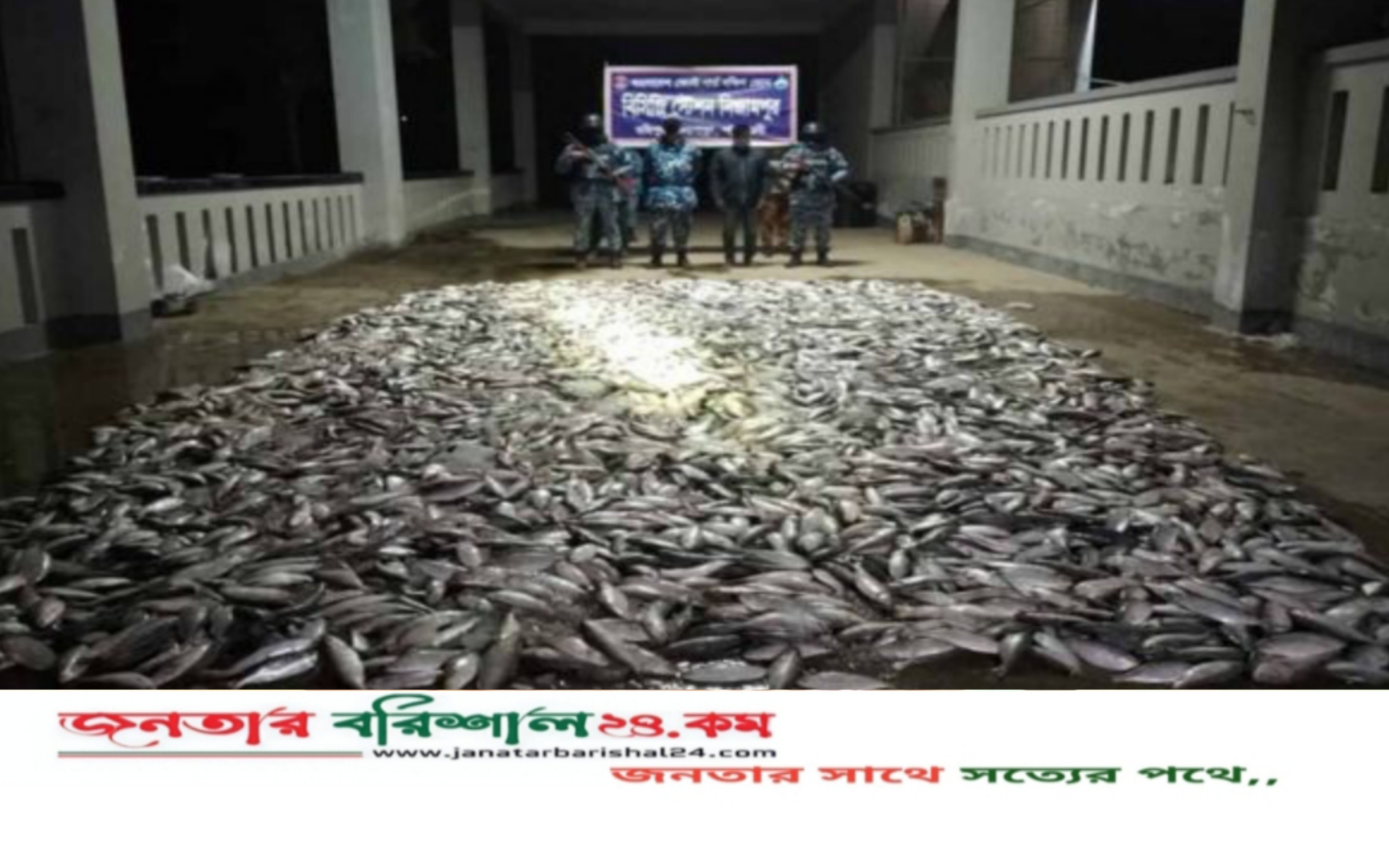 মহিপুরে কোস্ট গার্ডের অভিযানে ১২৪০ কেজি জাটকা জব্দ