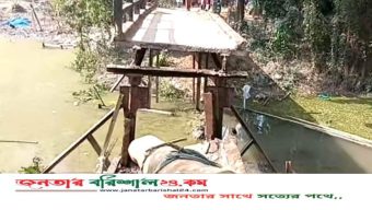বরিশালে গাছবোঝাই ঠেলাগাড়িসহ খালে ধসে পড়ল লোহার সেতু, আহত