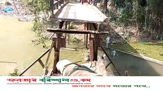 বরিশালে গাছবোঝাই ঠেলাগাড়িসহ খালে ধসে পড়ল লোহার সেতু, আহত