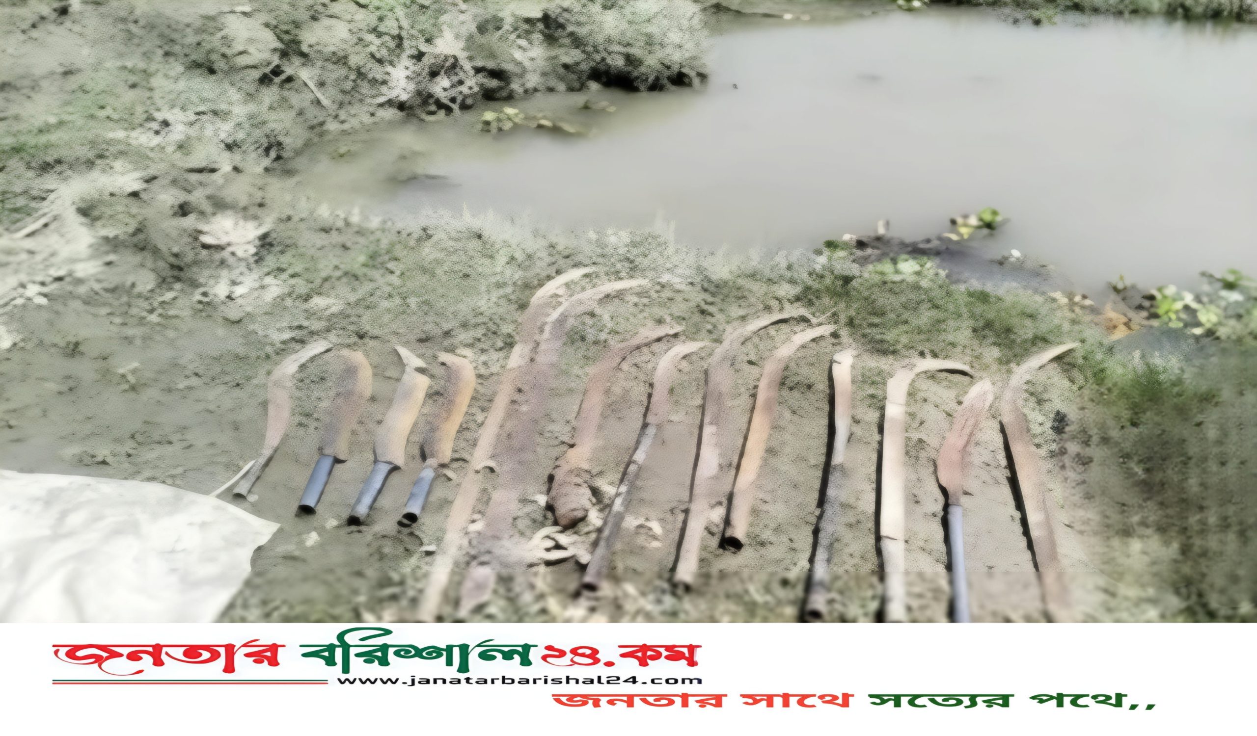 ভোলায় ডোবা থেকে দেশীয় ১৪ অস্ত্র উদ্ধার