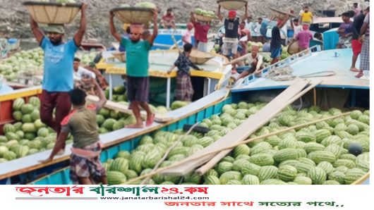 বরিশালে মোসুমীফল তরমুজে বাজার সয়লাব
