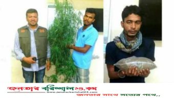 ঝালকাঠিতে ডিবি পুলিশের অভিযানে গাঁজা ও গাছসহ আটক ২