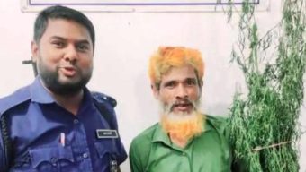 মির্জাগঞ্জে পাট ক্ষেতে গাঁ*জা চাষ করায় মাদক কারবারি গ্রেফতার