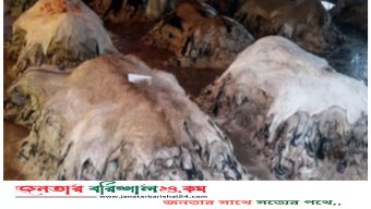 কোরবানির গরুর চামড়ার সর্ব নিম্ন দাম১১৫০, ঢাকায় দাম ১৩৫০টাকা