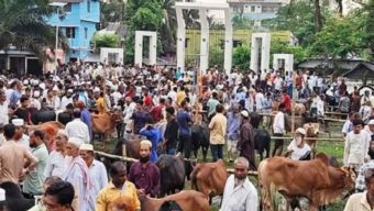 বরগুনায় শহীদ মিনার প্রাঙ্গণে গরুর হাট!