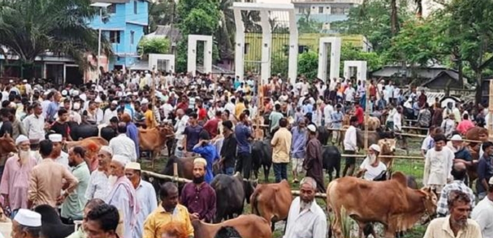 বরগুনায় শহীদ মিনার প্রাঙ্গণে গরুর হাট!