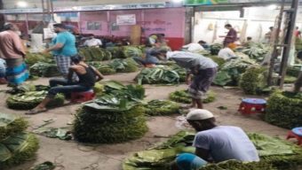 সন্ধ্যা হলেই জমে ওঠে কোটি টাকার পানের হাট