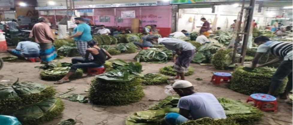 সন্ধ্যা হলেই জমে ওঠে কোটি টাকার পানের হাট