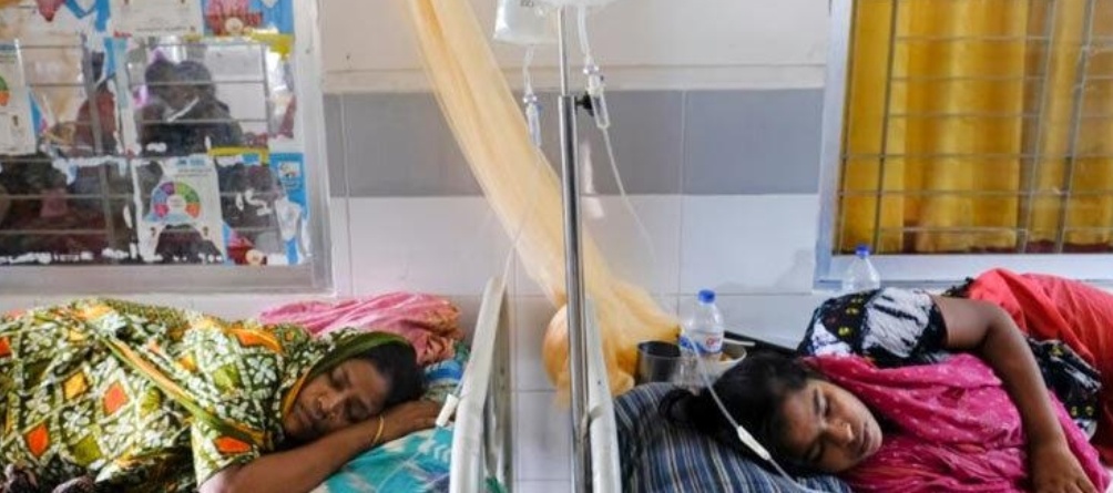 বরগুনায় একদিনে ডেঙ্গু আক্রান্ত হয়ে হাসপাতালে ভর্তি ৬৩ রোগী