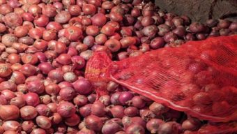 ভারত থেকে পেঁয়াজ আমদানি শুরু