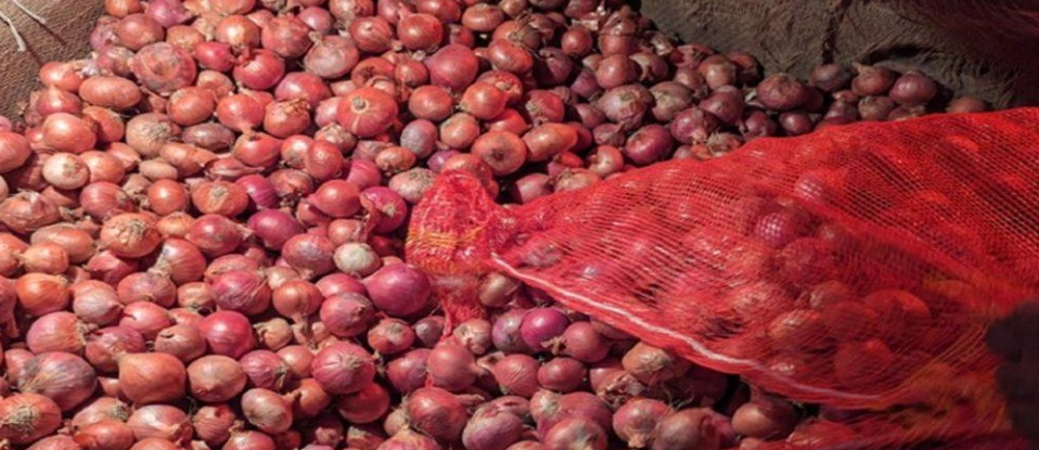 ভারত থেকে পেঁয়াজ আমদানি শুরু