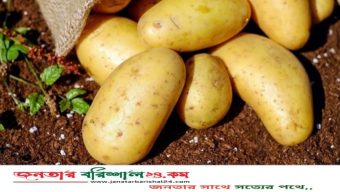 আলুর সর্বনিম্ন দাম নির্ধারণ করল সরকার