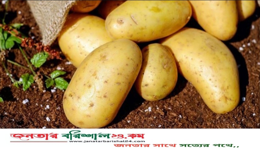 আলুর সর্বনিম্ন দাম নির্ধারণ করল সরকার