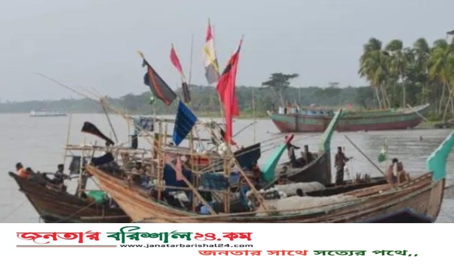 ভোলার মেঘনা-তেঁতুলিয়া নদীতে মিলছে না ইলিশ, জেলেপাড়ায় হাহাকার