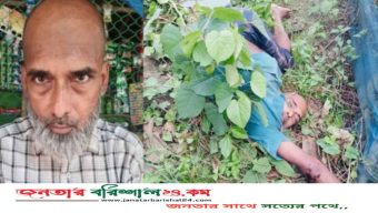 বাবুগঞ্জে অজ্ঞাত ব্যক্তির লাশ উদ্ধার