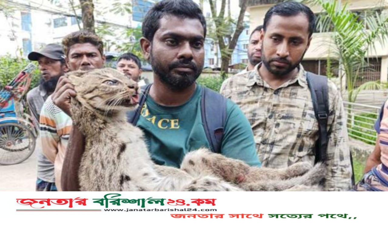 বরিশালে জালে আটকা পড়া মেছোবাঘ উদ্ধার