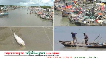 আজ মধ্যরাত থেকে জাটকা ইলিশ ধরা নিষিদ্ধ কার্যক্রম শুরু