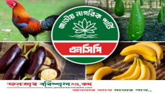 এনসিপিকে বেগুন-লাউ- কলাসহ যেসব প্রতীকের অপশন দিলো, ইসি