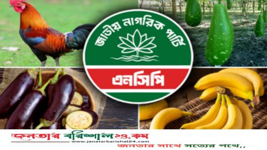 এনসিপিকে বেগুন-লাউ- কলাসহ যেসব প্রতীকের অপশন দিলো, ইসি