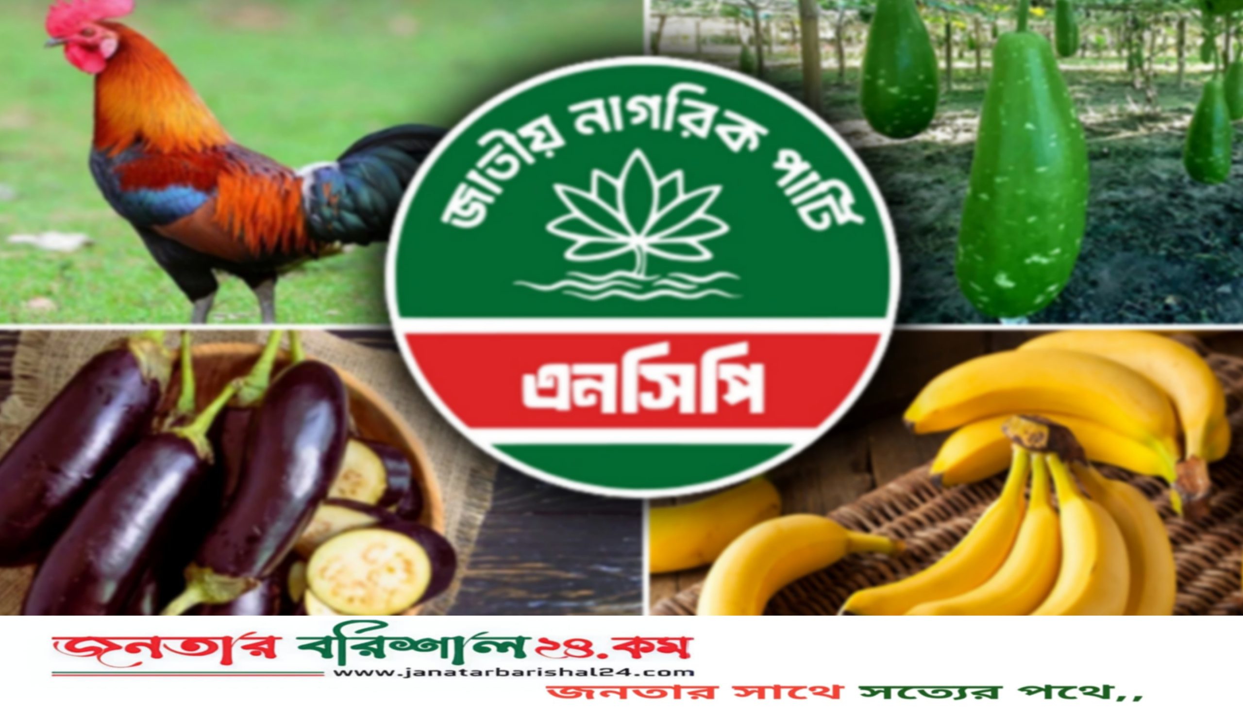 এনসিপিকে বেগুন-লাউ- কলাসহ যেসব প্রতীকের অপশন দিলো, ইসি