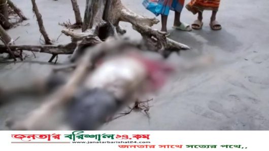 কুয়াকাটা সৈকতে ভেসে এলো যুবকের অর্ধগলিত লা*শ