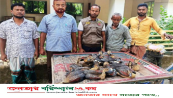 উজিরপুরে অতিথি পাখি বিক্রি করতে এসে অসাধু ব্যবসায়ী আটক