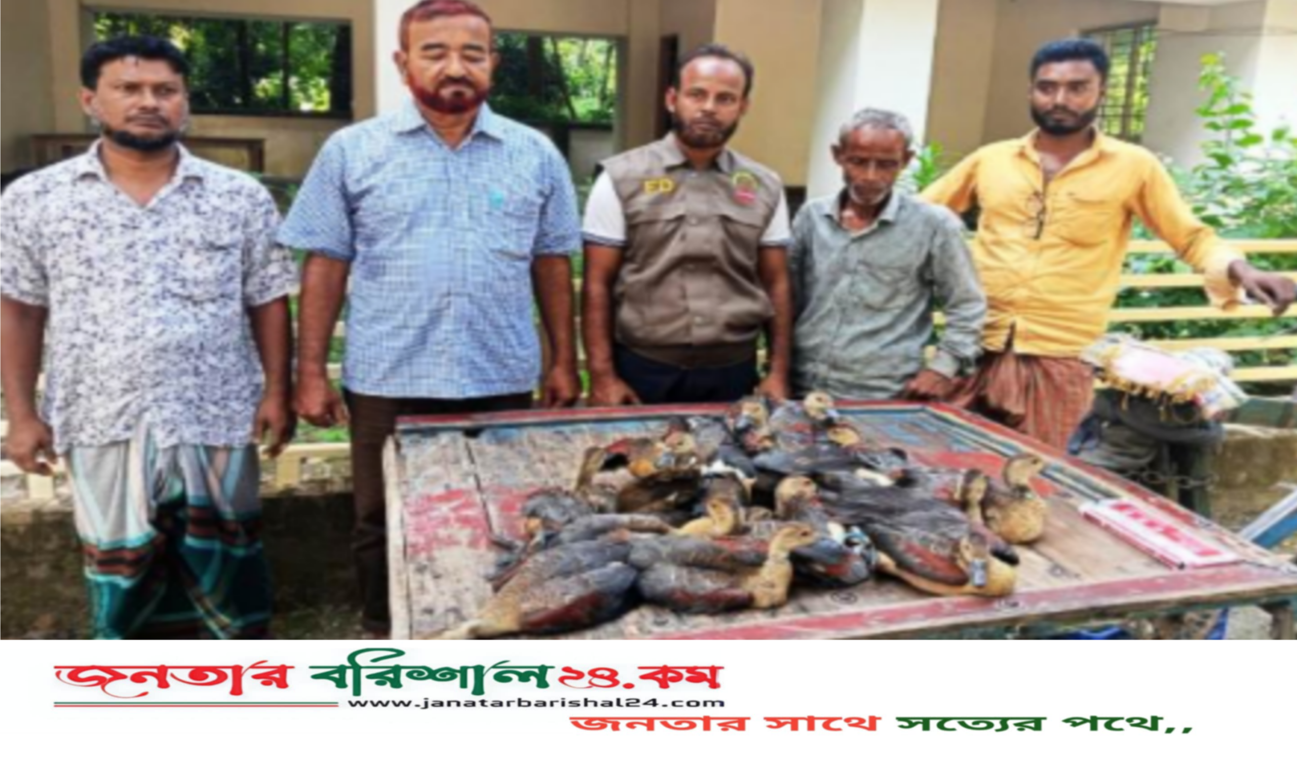 উজিরপুরে অতিথি পাখি বিক্রি করতে এসে অসাধু ব্যবসায়ী আটক