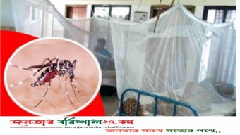বরিশালে ডেঙ্গু আক্রান্ত হয়ে বৃদ্ধের মৃত্যু, হাসপাতালে ভর্তি ১২৬ রোগী