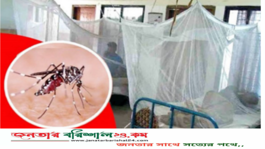 বরিশালে ডেঙ্গু আক্রান্ত হয়ে বৃদ্ধের মৃত্যু, হাসপাতালে ভর্তি ১২৬ রোগী