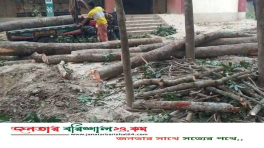 ফরিদপুরে স্কুলের গাছ কাটা নিয়ে দুই পক্ষের সংঘর্ষে আহত ২০