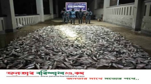 মহিপুরে কোস্ট গার্ডের অভিযানে ১২৪০ কেজি জাটকা জব্দ