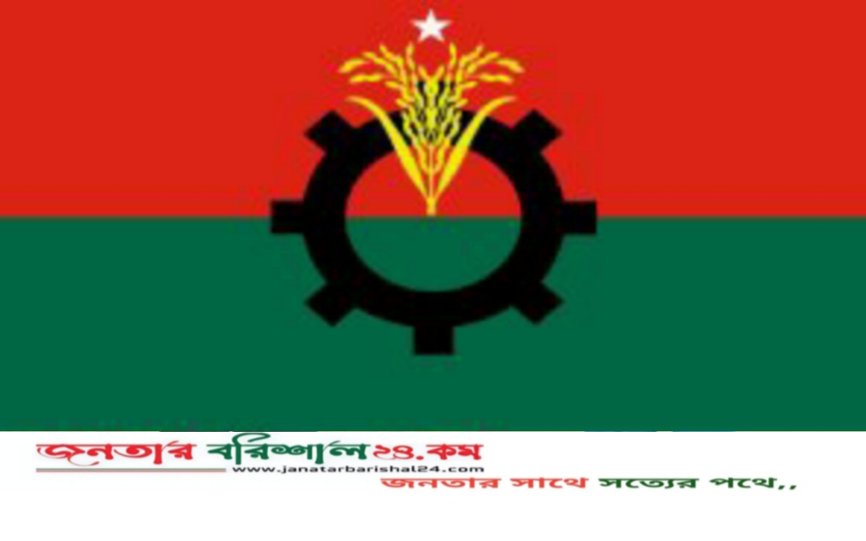 দশমিনা ও গলাচিপা উপজেলা কমিটি বিলুপ্ত করল বিএনপি