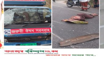 ঢাকা-বরিশাল মহাসড়কের রাকুদিয়ায় সড়ক দুর্ঘটনায় দুইজন নিহত