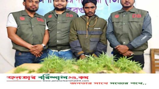 বরগুনায় ডিবি পুলিশের অভিযানে ৯ গাঁজা গাছ উদ্ধার