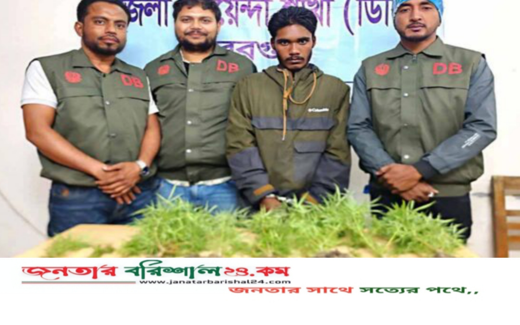 বরগুনায় ডিবি পুলিশের অভিযানে ৯ গাঁজা গাছ উদ্ধার