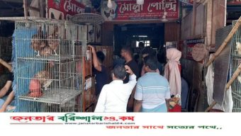 বরিশালের বাজারে বেড়েছে মুরগি ও ডিমের দাম