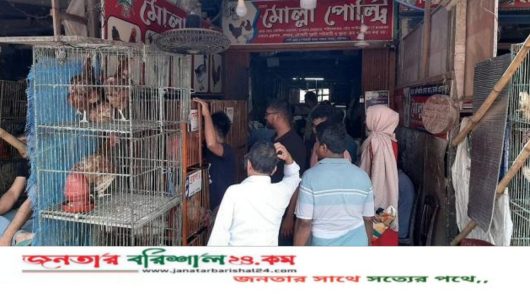 বরিশালের বাজারে বেড়েছে মুরগি ও ডিমের দাম