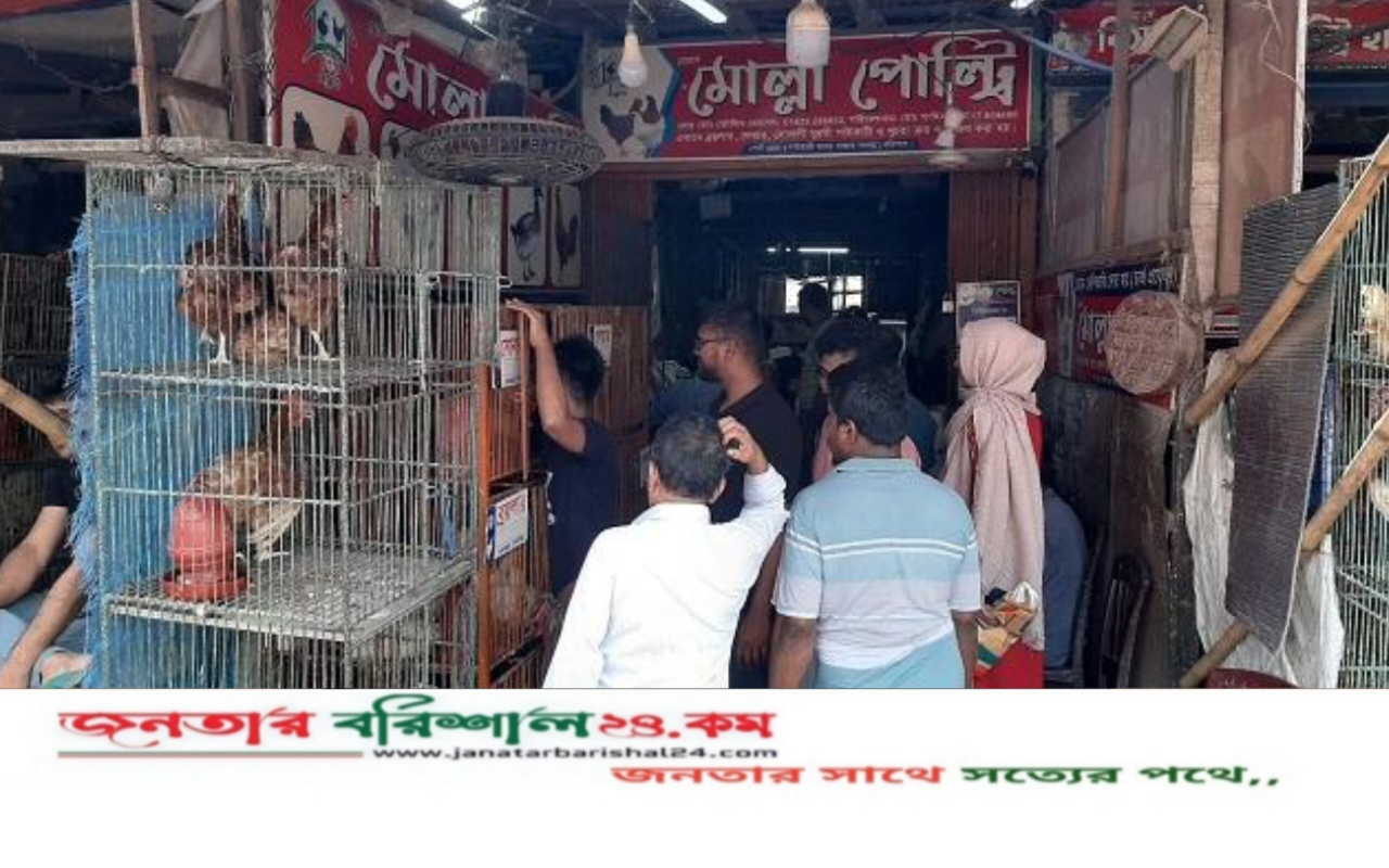 বরিশালের বাজারে বেড়েছে মুরগি ও ডিমের দাম