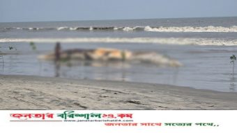 কুয়াকাটা সমুদ্র সৈকতে ভেসে এলো বিশাল আকৃতির মৃত তিমি