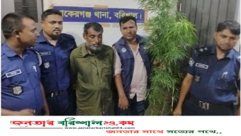 বাকেরগঞ্জে গাঁজা গাছসহ চিহ্নিত মাদক কারবারি গ্রেপ্তার