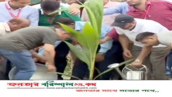 ত্রিশ গোডাউন গাছ লাগানোর কর্মসূচির উদ্বোধন প্রধানমন্ত্রীর