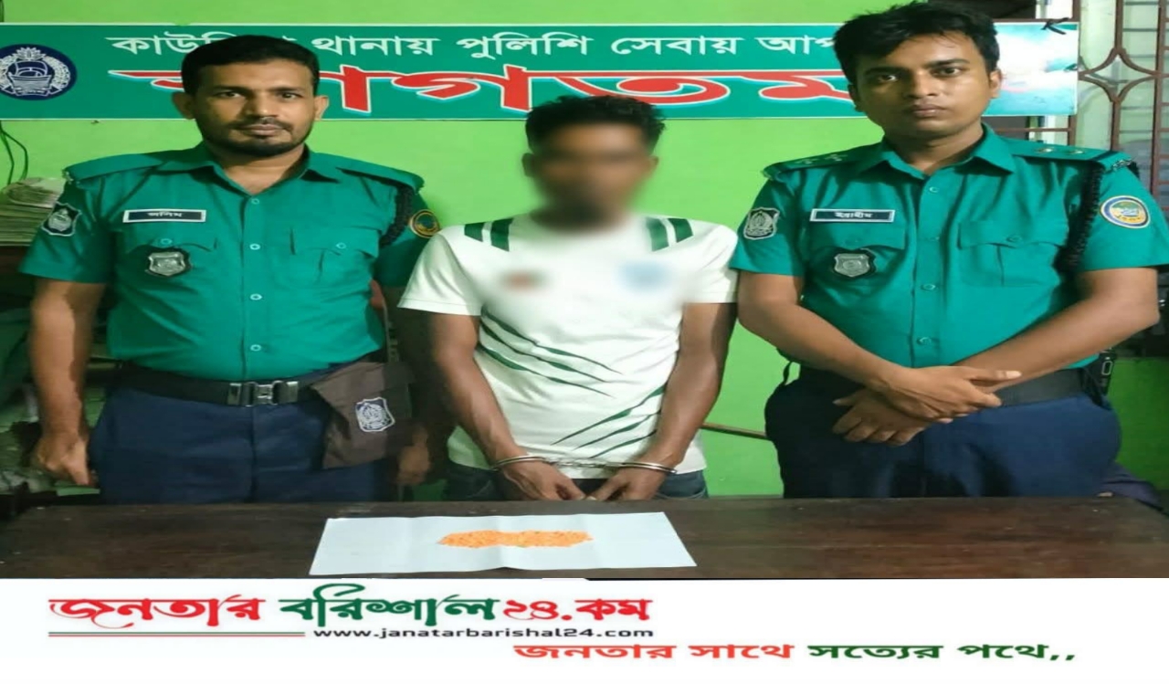 বিএমপি কাউনিয়া থানার অভিযানে ২৪৮ পিস ইয়াবা ট্যাবলেট সহ আটক ০১ জন।
