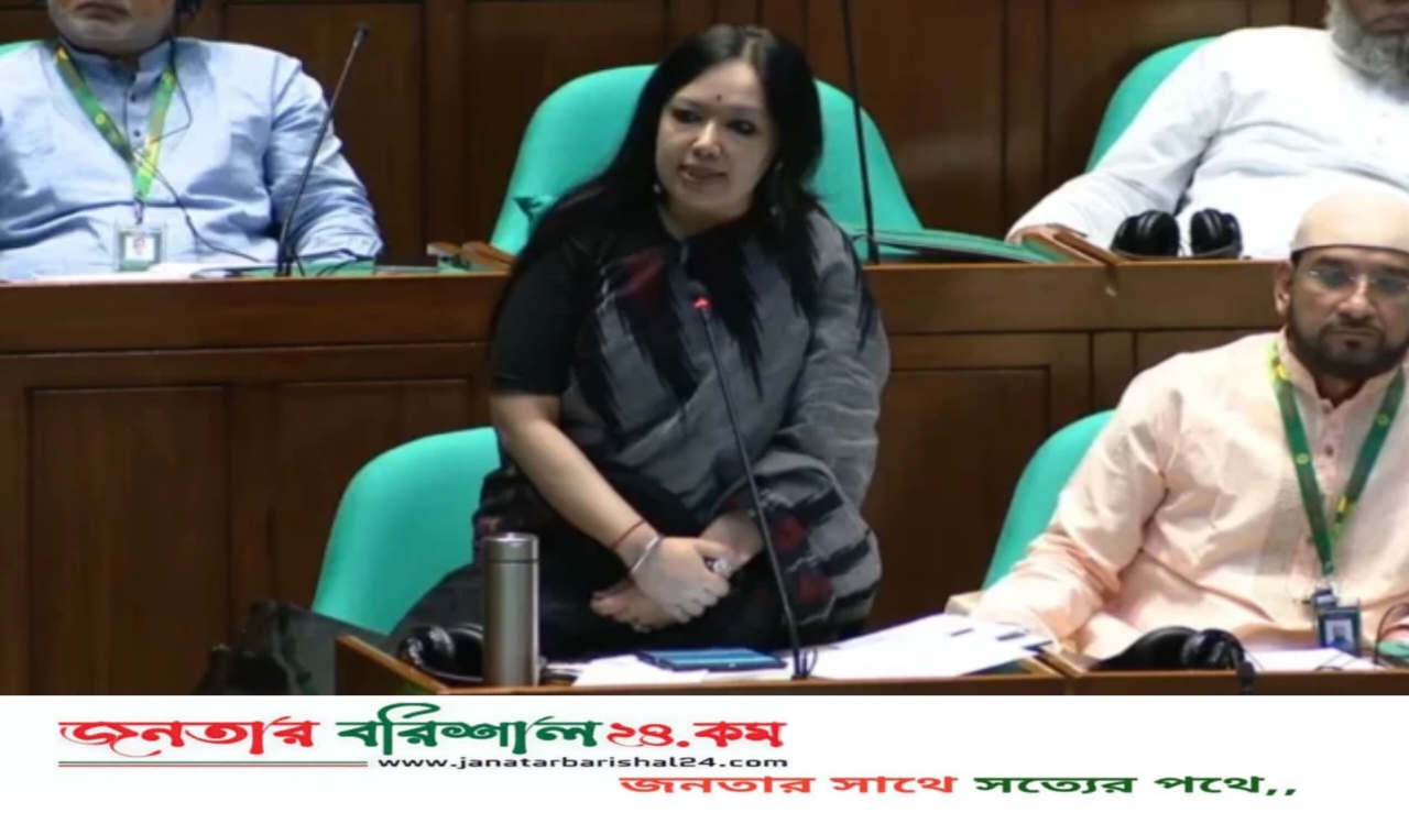 বিদ্যুত সরবরাহ প্রসঙ্গে রুমিন ফারহানা ‘টুকু আসে, টুকু যায়, কতক্ষণ থাকে বোঝা যায় না’
